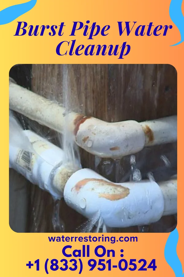 Burst Pipe Water Cleanup in Converse, LA