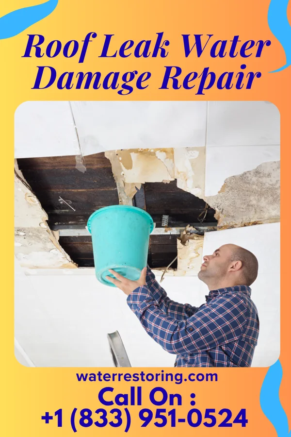 Roof Leak Water Damage Repair in Converse, LA