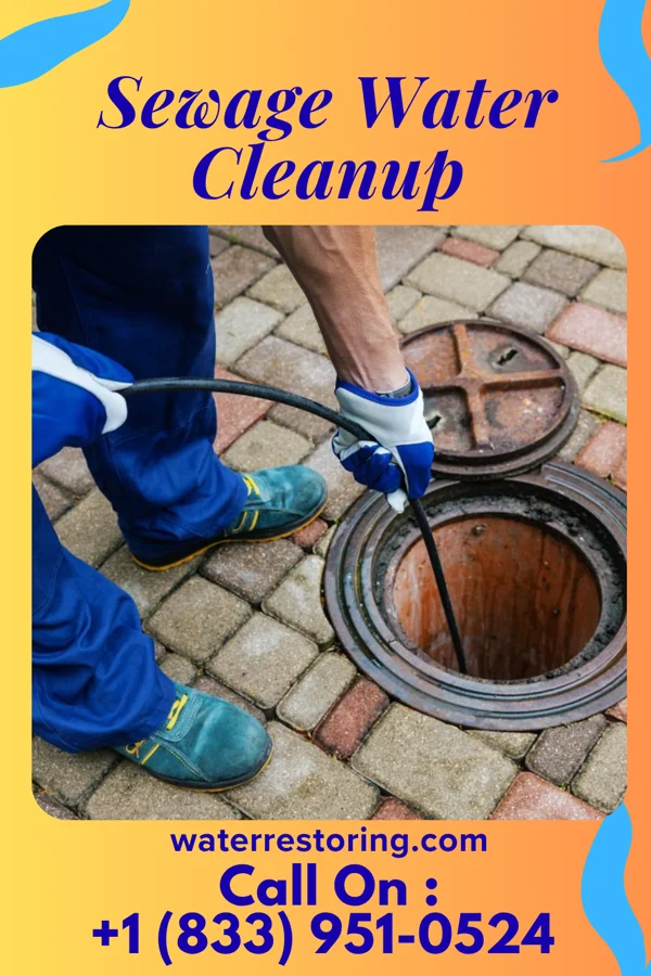 Sewage Water Cleanup in Converse, LA